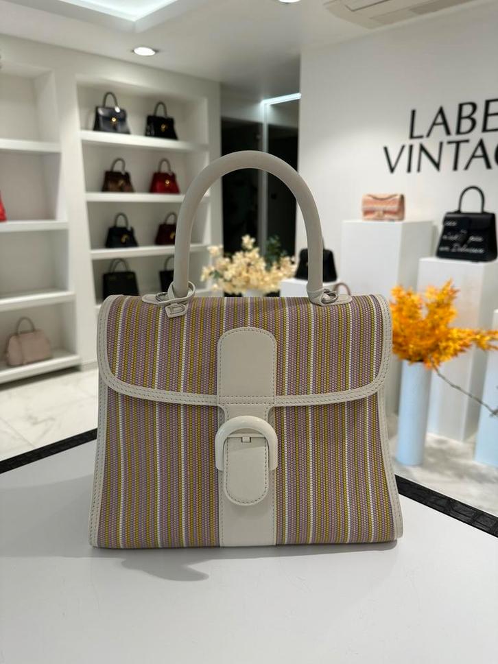 Delvaux Brillant MM Rainbow toile de cuir, Handtassen en Accessoires, Tassen | Damestassen, Zo goed als nieuw, Ophalen