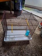 Cage oiseaux, Animaux & Accessoires, Enlèvement