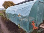 Tunnel serre 3m x 5.5m x 2m, Tuin en Terras, Kassen, Ophalen, Zo goed als nieuw