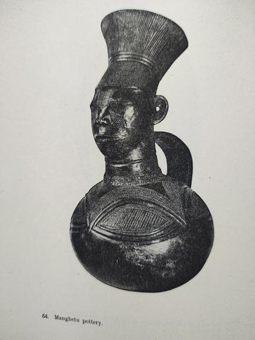 Livre Arts au Congo Belge en anglais colonie Belgique  beschikbaar voor biedingen