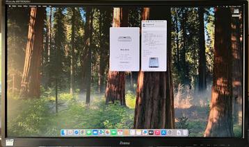 Mac Mini M1 16Go SSD 250Go beschikbaar voor biedingen