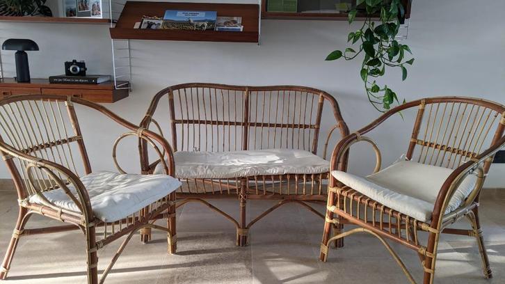 Vintage - Rotan stoelen set, Huis en Inrichting, Stoelen, Gebruikt, Eén, Riet of Rotan, Overige kleuren, Ophalen