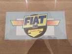 Vintage Fiat-brochures, Ophalen of Verzenden, Gelezen