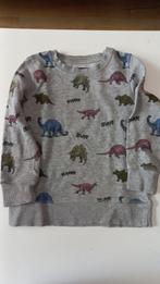 Trui - sweater - maat 104, Kinderen en Baby's, Kinderkleding | Maat 104, Ophalen, Gebruikt, Jongen of Meisje, Trui of Vest