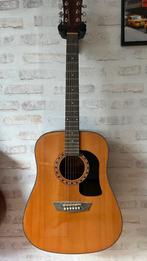 Washburn-gitaar, Ophalen, Gebruikt, Western- of Steelstringgitaar