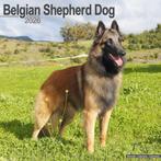 Belgian Shepherd kalender 2026, Diversen, Kalenders, Ophalen of Verzenden, Jaarkalender, Nieuw
