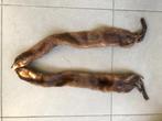 fourrure double vison 100 cm, Antiquités & Art, Enlèvement