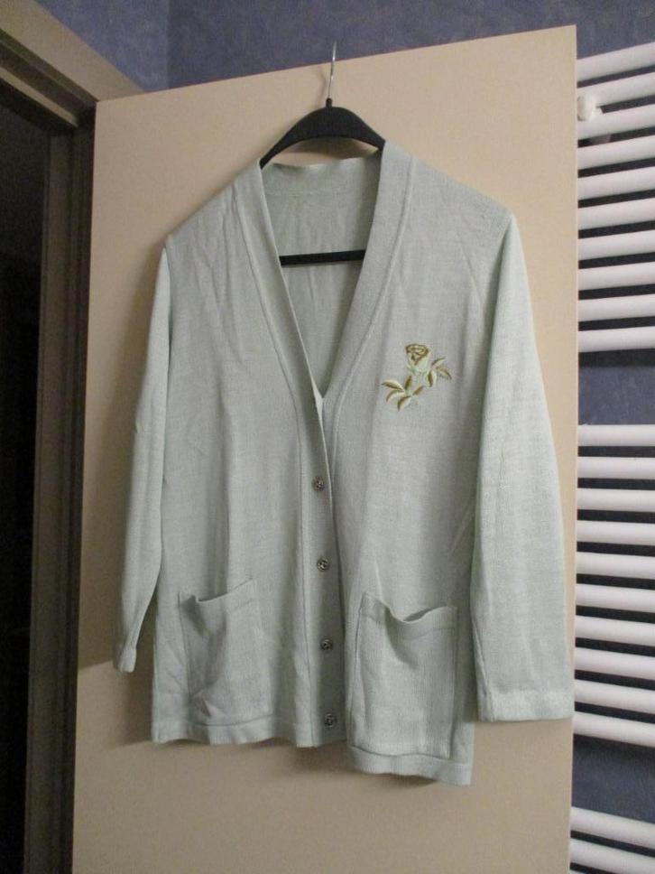 Gilet/cardigan/golf/gilet/pull vert taille M, Vêtements | Femmes, Pulls & Gilets, Taille 38/40 (M), Vert, Enlèvement ou Envoi