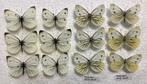 Lot witjes, vlinders uit Frankrijk, Ophalen of Verzenden