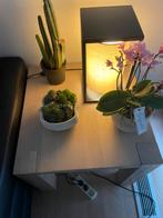 Vol Eik bijzet tafeltje, Ophalen, Zo goed als nieuw