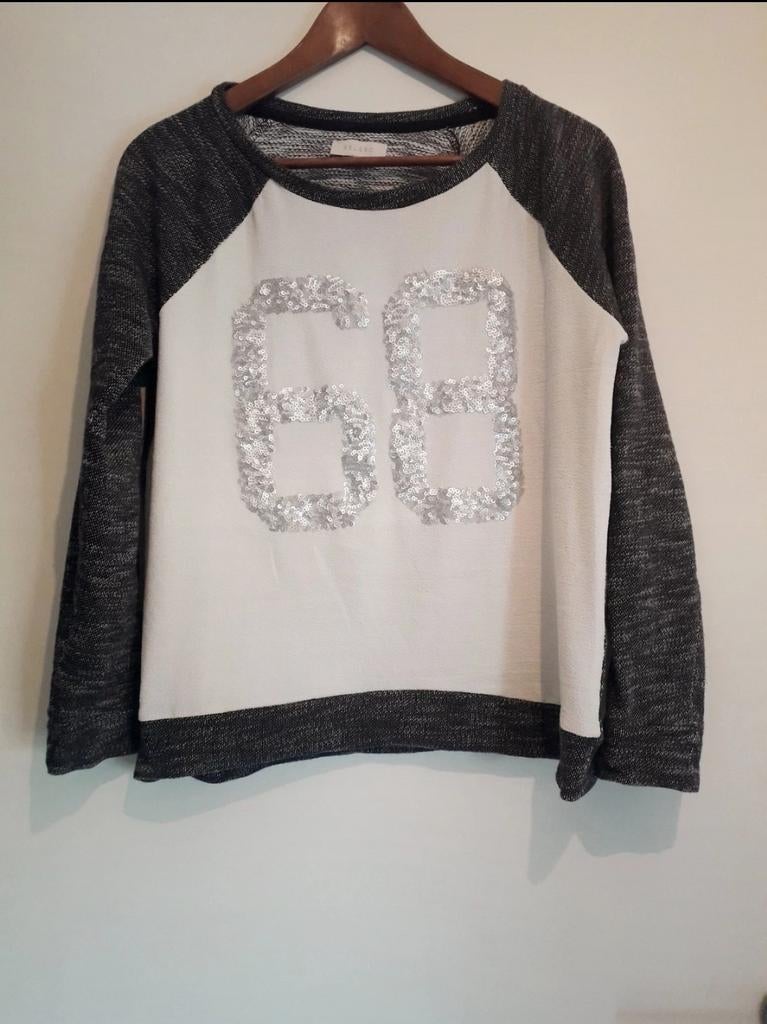 Pull fin à paillettes argentées. Taille M, Enlèvement, Comme neuf, Taille 38/40 (M)