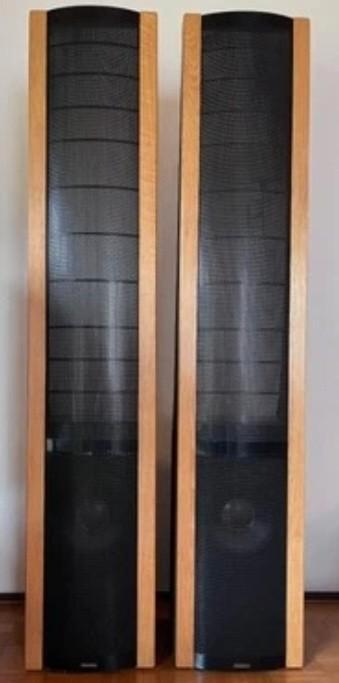 Martin Logan Sequell 2 hybride High-End Speakers., Audio, Tv en Foto, Luidsprekerboxen, Gebruikt, Front, Rear of Stereo speakers