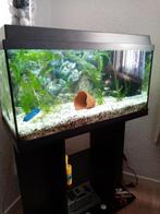 Aquarium, Enlèvement, Comme neuf, Aquarium vide