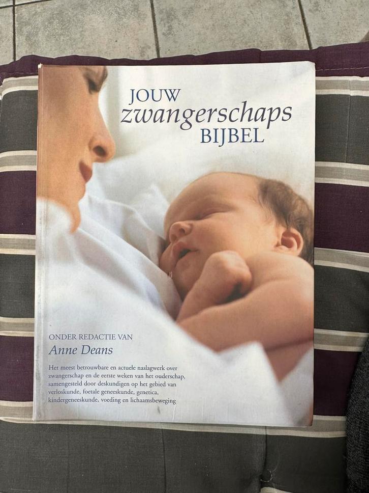 - Jouw zwangerschapsbijbel, Boeken, Kinderboeken | Baby's en Peuters, Ophalen