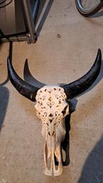 gewei buffel, Enlèvement, Comme neuf, Animal sauvage, Bois ou Tête