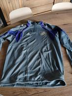 Anderlecht, Kleding | Heren, Sportkleding, Ophalen of Verzenden, Zo goed als nieuw, Maat 48/50 (M)