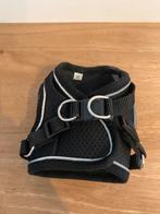 Harnais xs pour petit chien