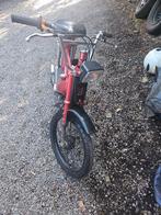 honda camino, Bedrijf