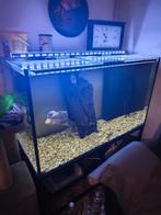 Aquarium 500l 120x60x70, Enlèvement, Utilisé, Aquarium vide
