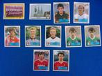 Panini Euro 88, Collections, Enlèvement ou Envoi, Comme neuf, Sport