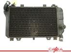 RADIATEUR Kawasaki ZZR 600 1990-1992 (ZZ-R600 ZX-6E ZX600D), Gebruikt