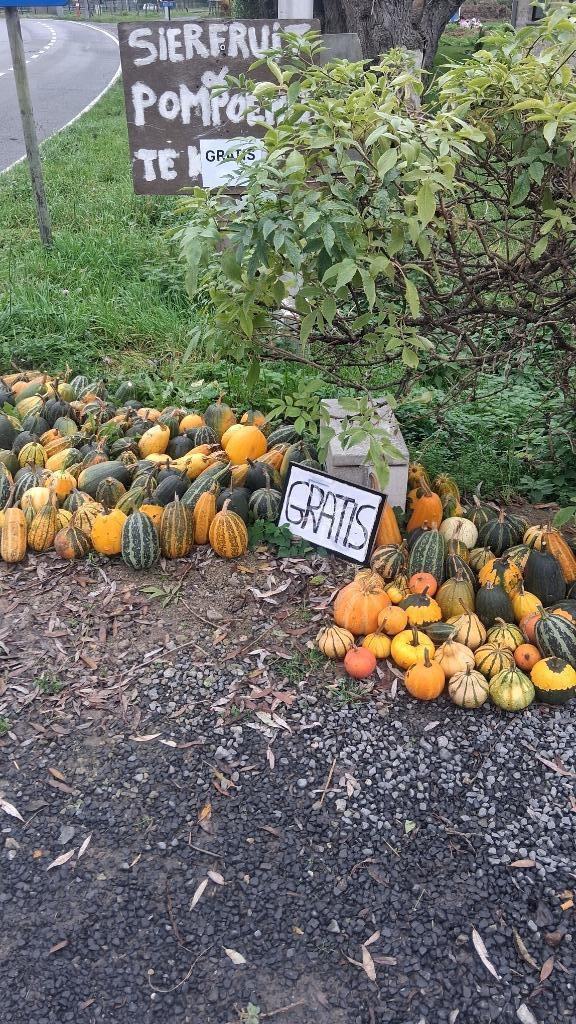 !!GRATIS!! Sierfruit, Huis en Inrichting, Overige Huis en Inrichting, Nieuw, Ophalen