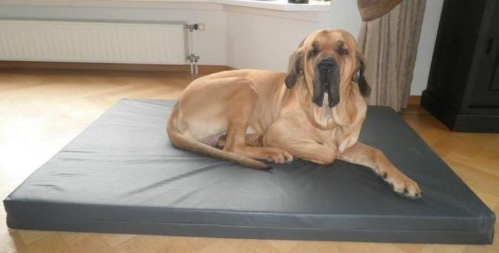 Honden Mand Hondenkussen Hondenbed HD - Diverse Maten!, Dieren en Toebehoren, Honden-accessoires, Nieuw, Ophalen of Verzenden