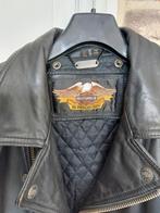 Harley Davidson motorjas, Motos, Vêtements | Vêtements de moto