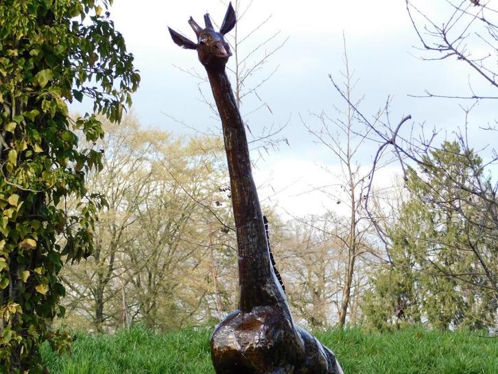 Giraffe Zola - 290 cm - Handgemaakt en Uniek, Antiek en Kunst, Kunst | Designobjecten, Ophalen of Verzenden