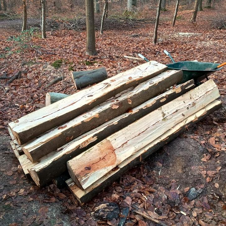 Beuk stammen gekloven, Doe-het-zelf en Bouw, Hout en Planken, Zo goed als nieuw, Overige typen, Beuken, 200 tot 250 cm, 50 mm of meer