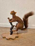 Opgezette Eekhoorn, Ophalen