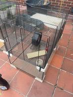 Kooi, Dieren en Toebehoren, Kooi, Gebruikt, Minder dan 75 cm, Hamster