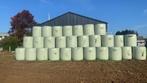 maisbalen, Zakelijke goederen, Landbouw | Veevoer, Ophalen