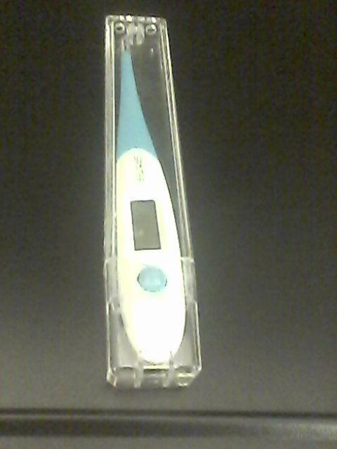 thermomètre digital, Handtassen en Accessoires, Uiterlijk | Lichaamsverzorging, Ophalen