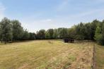 Paardenweide Zevergem - De Pinte te huur, Dieren en Toebehoren, Stalling en Weidegang, Weidegang, 2 of 3 paarden of pony's