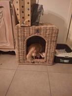 Leuke rieten mand, Dieren en Toebehoren, Kattenmanden, Ophalen