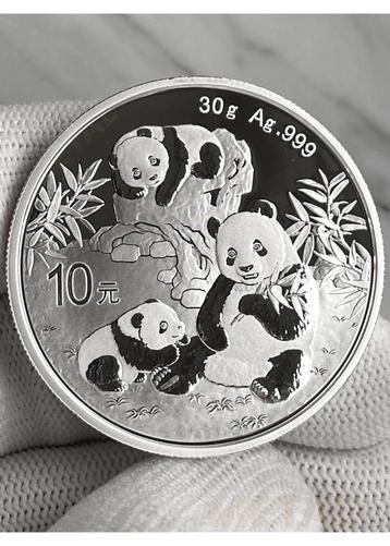 PANDA ARGENT - 30g (2025), Enlèvement ou Envoi, Argent