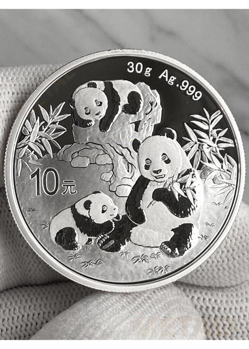 ZILVEREN PANDA - 30 g (2025), Postzegels en Munten, Edelmetalen en Baren, Zilver, Ophalen of Verzenden