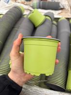 Kweekpotjes 10,5cm, Tuin en Terras, Planten | Tuinplanten, Ophalen