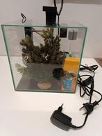 Aquarium cubique 25cm, Animaux & Accessoires, Comme neuf, Enlèvement