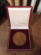 Médaille militaire 5 eme division blindée, Verzamelen, Militaria | Algemeen, Verzenden, Landmacht, Lintje, Medaille of Wings