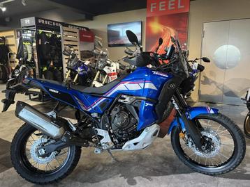 Yamaha XTZ 700 TENERE World Raid Rally, Entreprise, Plus de 35 kW, Enduro, 700 cm³
