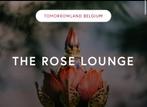 1 vip ticket tomorrowland 19/07/25