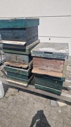5 stuks simplex 10 ramers, Dieren en Toebehoren, Bijen