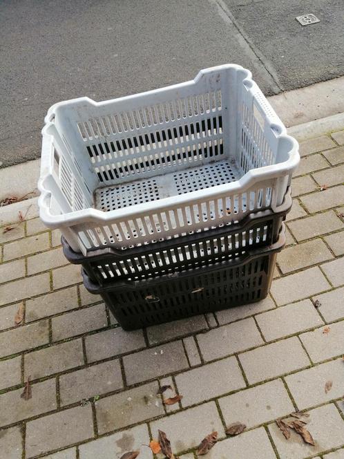 Bac plastique rigide xxl, Doe-het-zelf en Bouw, Kratten en Dozen, Gebruikt, 50 tot 75 cm, 35 tot 50 cm, 40 tot 60 cm, Ophalen