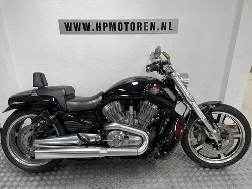 Harley-Davidson VRSCF MUSCLE SPECIAL V-ROD V ROD 1250 ABS BO, Motos, Motos | Harley-Davidson, Entreprise, Chopper, plus de 35 kW