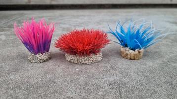 Aquariumplanten 3 stuks beschikbaar voor biedingen