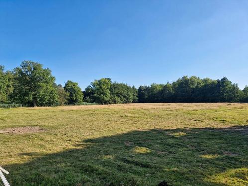 Weide te koop Veerle Laakdal, Dieren en Toebehoren, Stalling en Weidegang