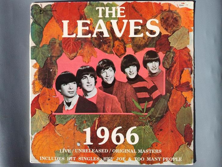 THE LEAVES 1966, Cd's en Dvd's, Vinyl | Rock, Zo goed als nieuw, Ophalen of Verzenden