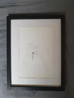 Panamarenko, Antiek en Kunst, Kunst | Litho's en Zeefdrukken, Ophalen